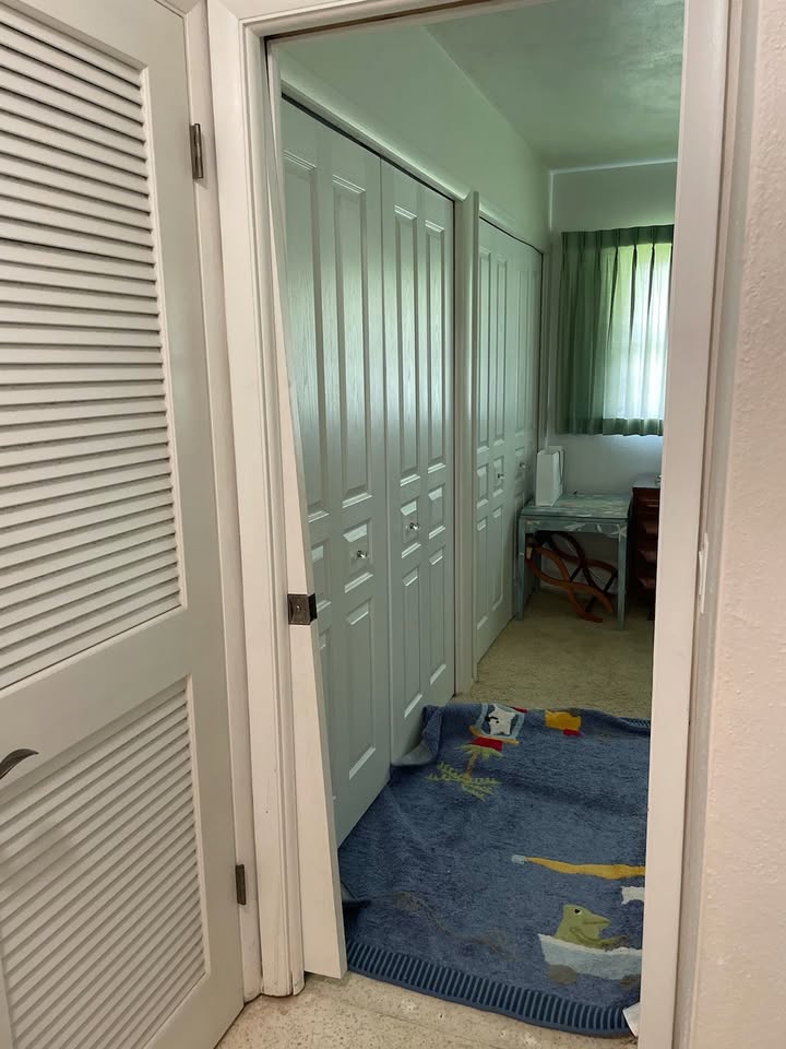 pocket doors